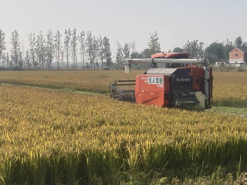“无人驾驶”开进稻田助力粮食安全