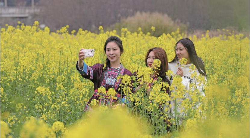 山花朵朵 八桂大地春意酣